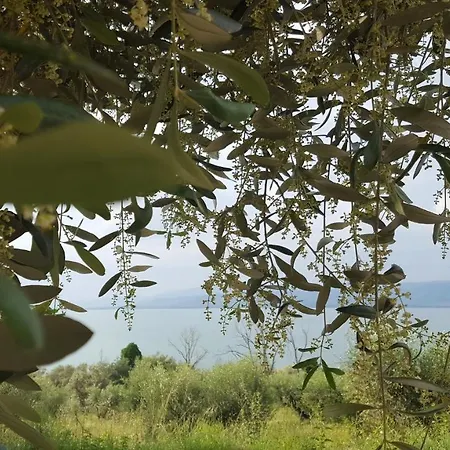 Hotel La Torre Castiglione del Lago