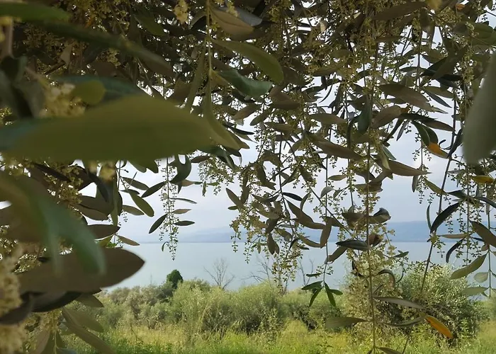 Hotel La Torre Castiglione del Lago